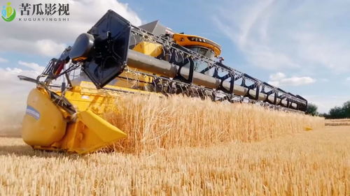 科技对农业的发展很重要,美国机械化收割大麦,1小时可达50吨